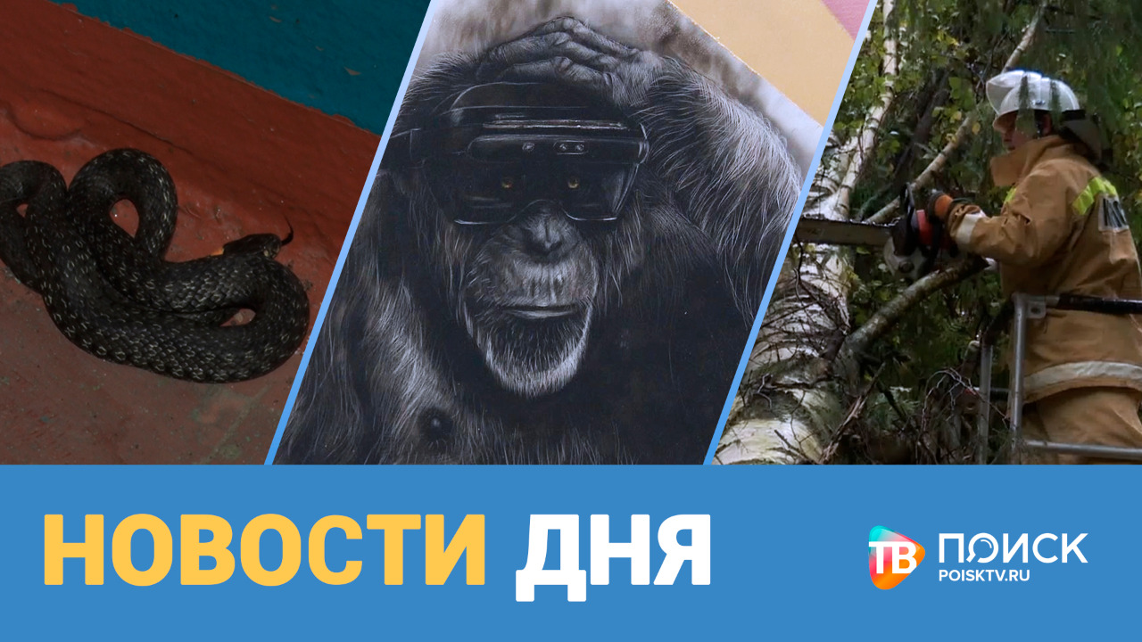 Новости дня 21.09.21 (12+)