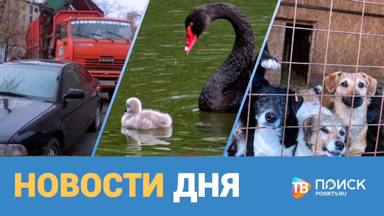 Новости дня 17.08.22 (12+)