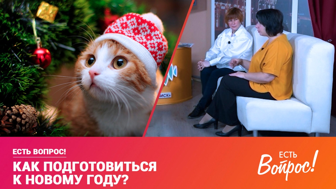 Есть вопрос! Как подготовиться к Новому году? (12+)