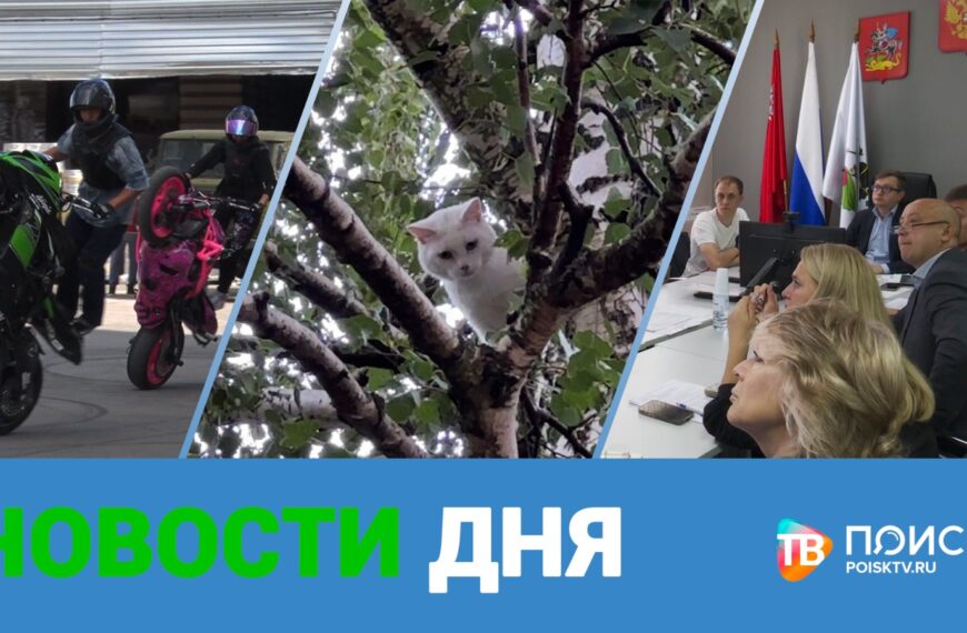 Клин. Новости дня 05.08.24 (12+)