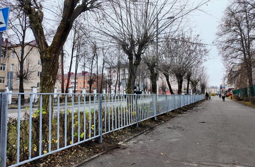 У лицея им. Д. И. Менделеева установили ограждение&hellip;