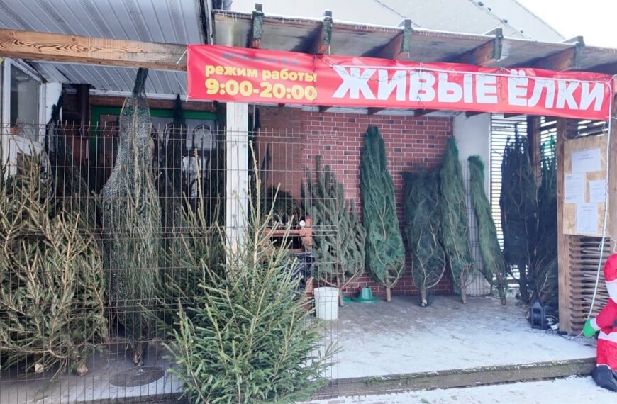 Отдел потребительского рынка проверил елочные базары (12+)