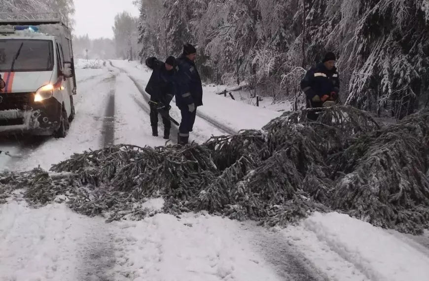 В городском округе Клин устраняют последствия разгула стихии (12+)