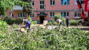 В Клину проводят опиловку деревьев (12+)