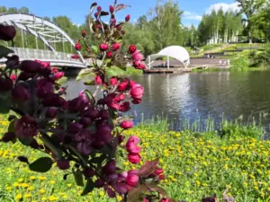 В Сестрорецком парке Клина появится новая территория для&hellip;