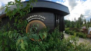 В клинском Сафари-парке расплатиться можно зелеными листиками (12+)