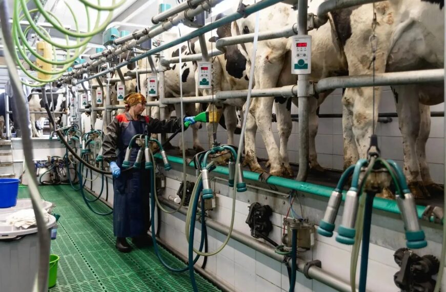 Обеспечение технологического и продовольственного суверенитета — одно из ключевых направлений народной программы «Единой России» (12+)