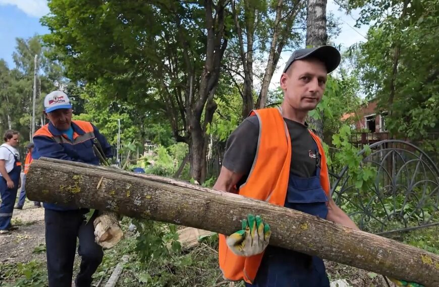 В Клину провели субботник на территории лицея им. Д. И. Менделеева (12+)