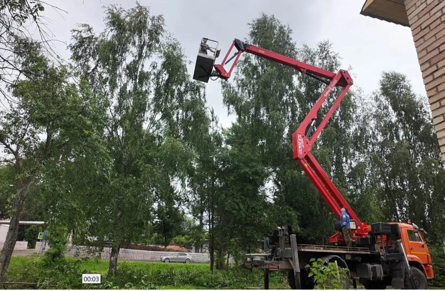 В городском округе Клин проводят работы по кронированию и опиловке деревьев (12+)