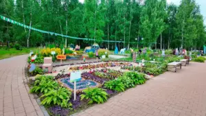 В Клину открылся флористический фестиваль «Вальс цветов» (12+)
