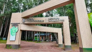 В Клину прошел областной туристический слет «Активного долголетия»&hellip;