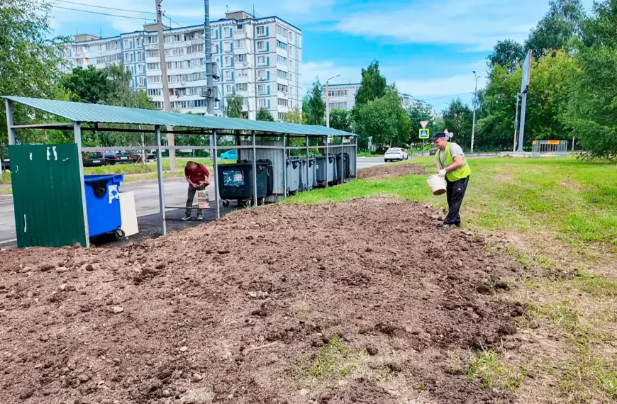 На месте бывшей контейнерной площадки в Клину разбили газон (12+)
