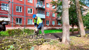 Ежедневные плановые работы по наведению чистоты и порядка&hellip;