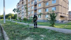 На улице Профсоюзная высадили сирень, липы и клены.&hellip;