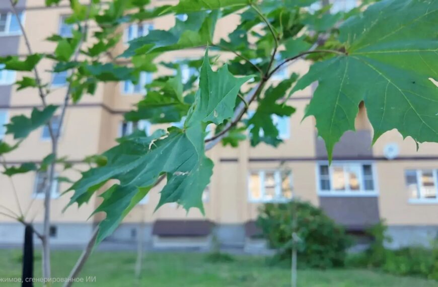 На улице Профсоюзная высадили сирень, липы и клены. Вопрос благоустройства прилегающей к домам территории обсуждали вместе с жителями (12+)
