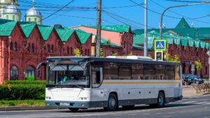 Общественный транспорт. Итоги полугодия (12+)