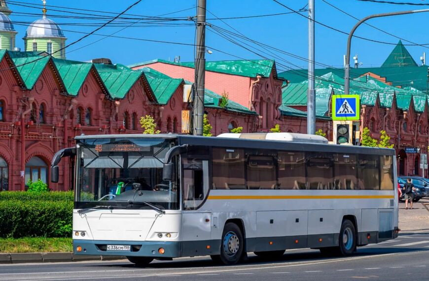 Общественный транспорт. Итоги полугодия (12+)