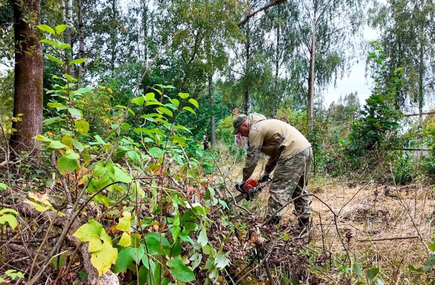 В поселке Чайковского проводят опиловку деревьев (12+)