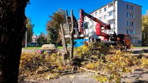Городское хозяйство проводит опиловку (12+)