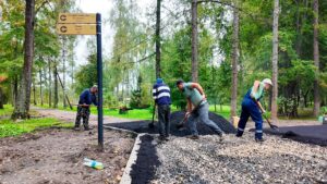 В парке «Березовый» проводят благоустройство (12+)