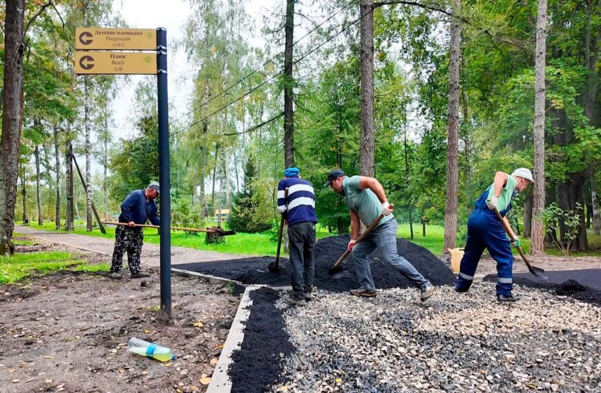 В парке «Березовый» проводят благоустройство (12+)