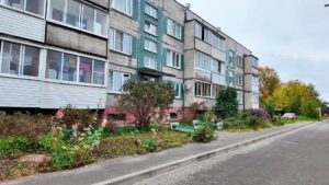 Должников Спас-Заулка и Решетниково могут выселить (12+)