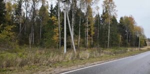 В лесах г. о. Клин начался гон лосей&hellip;