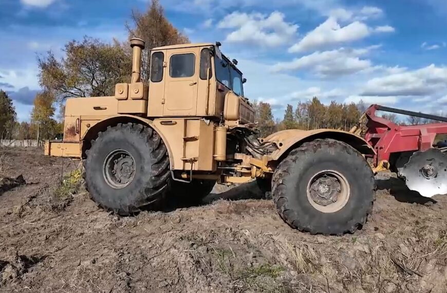 В Клину продолжают вводить в оборот земли сельскохозяйственного назначения (12+)